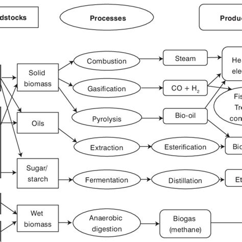 4 Common Bioenergy Feedstocks Processes And Products Source Adapted