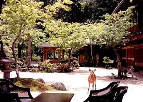 Iwaso Ryokan | Hotels in Miyajima Island | Audley Travel