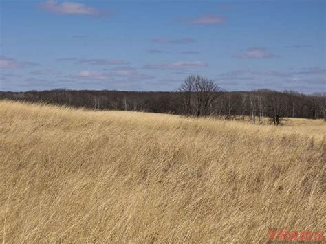 Minnesota’s Lake Carlos State Park - Minnesota Trails