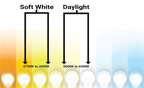 Soft White Vs Daylight Here's The BIG Difference Lighting, 52% OFF