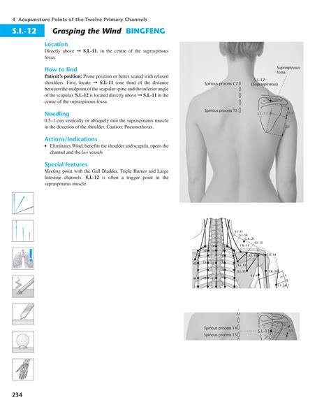 Acupuncture Masters: Acupuncture Points Database - Small Intestine Channel