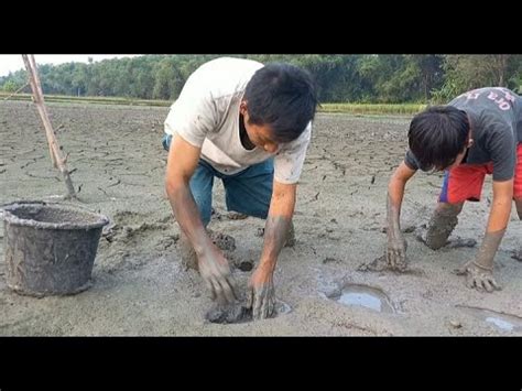 Mencari Ikan Di Tanah Kering YouTube