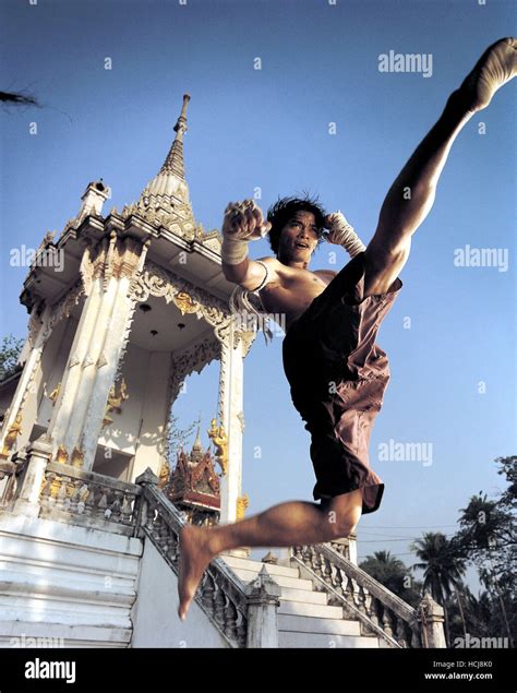 Ong Bak Tony Jaa 2003 C Magnolia Picturescourtesy Everett