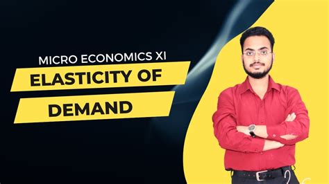 Elasticity Of Demand Sandeep Garg Class Microeconomics Ch