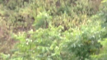 nam thanh niên Ä OpenCurlyQuote áng giáa Ä OpenCurlyQuote Æá ng thá dâm XVIDEOS