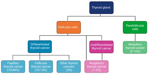 Thyroid Cancer Differentiated Thyroid Cancer Dtc And Poorly