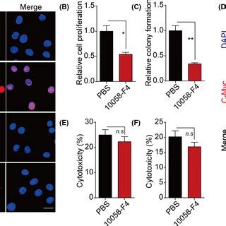 Integrin β8 ITGB8 regulates tumor progression through Ybox binding