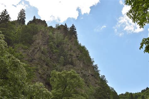 Fotos Gratis Paisaje Rbol Naturaleza Bosque Rock Desierto