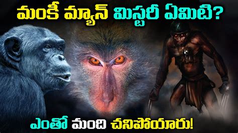 MONKEY MAN మసటర ఏమట Monkey Man Mystery of Delhi 2001 యకక