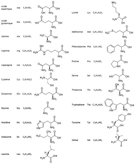 Acide Base Physicochimie Et Sciences De La Vie Notes De Cours