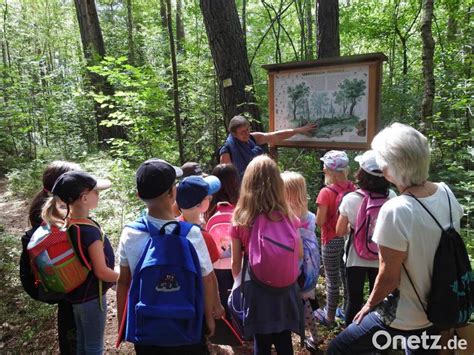 Querwaldein Im Ferienprogramm Des Kreisjugendrings Schwandorf Onetz