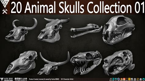 ArtStation - 20 Animal Skulls Collection 01 | Resources