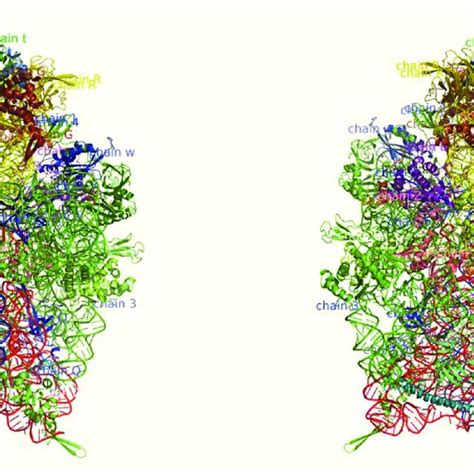 Architectural Tertiary Structure Of Plasmodium Falciparum 40s Front And Download Scientific