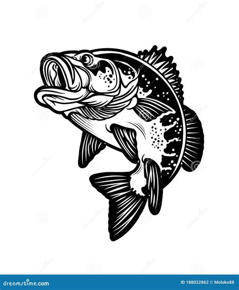 Largemouth Bass Fish Carnivorous Freshwater Gamefish Vector