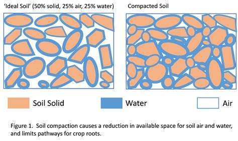 Wet Weather Field Traffic More Soil Compaction Reduced Nutrient