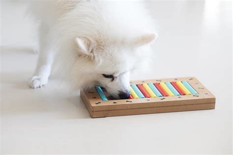 18 Puppy Puzzle Toys to Keep Your Pup Entertained