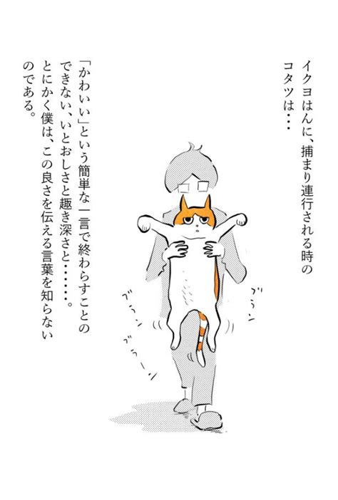 ＜画像2 12＞【猫ちゃんの謎】されるがまま…猫の“ブランブラン”な姿はなぜこんなにかわいいの？｜ウォーカープラス