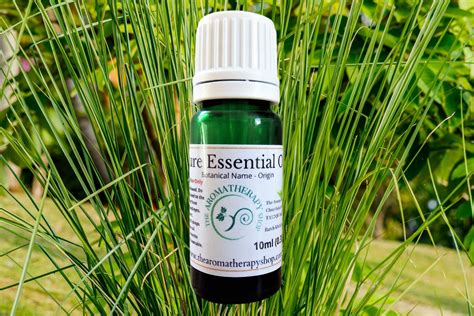 Vetiver Pure Essential Oil – The Aromatherapy Shop Ltd