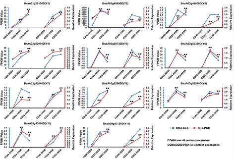 Frontiers Identification Of Candidate Genes Regulating Seed Oil