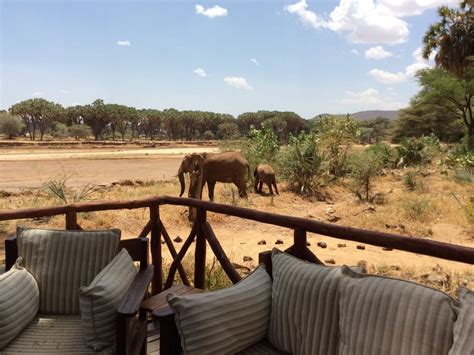 Top Luxury Safari Lodges in Kenya that Are Worth A Visit | Drink Tea ...