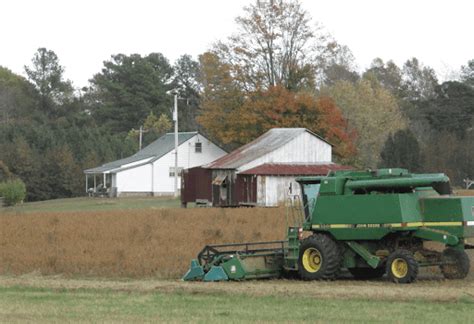 Integrated Weed Management Maybe The Answer To Herbicide Resistance