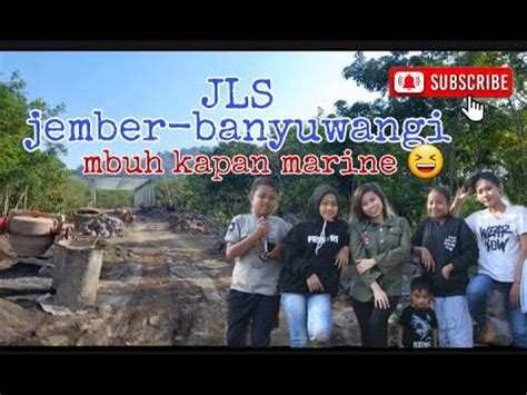 Proyek JLS Jember Banyuwangi Sedang Dalam Proses YouTube