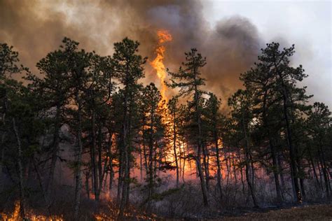 New Jersey Archives Wildfire Today