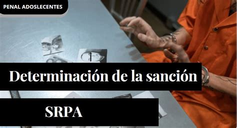 Criterios Para La Determinación De La Sanción En El Sistema De Responsabilidad Penal Para