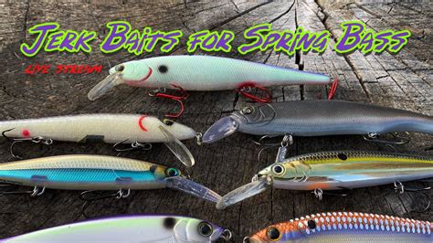 Baitman Live Best Jerkbaits For Spring Bass Fishing Buyers Guide