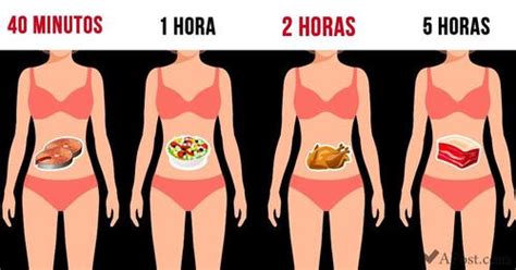 Es Importante Conocer El Tiempo Que Se Tarda Cada Alimento En Digerirse