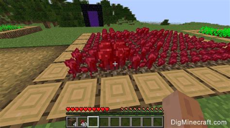 How to Make a Nether Wart Farm in Minecraft