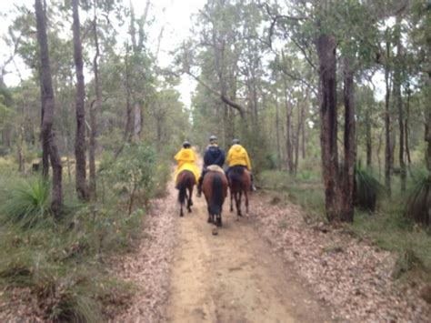 Langford Park Bridle Trail Serpentine Jarrahdale Trails Wa