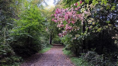 Wyming Brook Nature Reserve Sheffield South Yorkshire Youtube