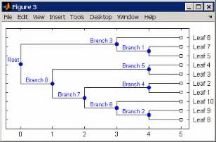 Change Root Of Phylogenetic Tree Matlab Reroot Mathworks