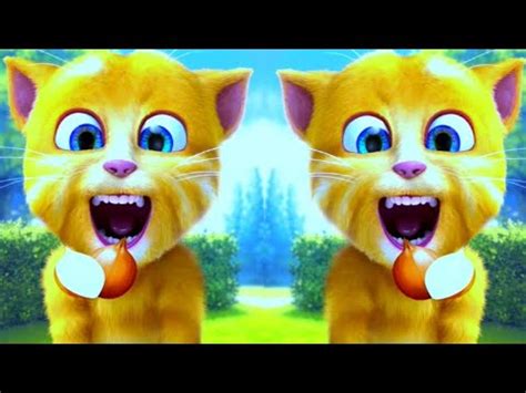 Talking Ginger Funny Cat Videos Ginger Talking Cat YouTube