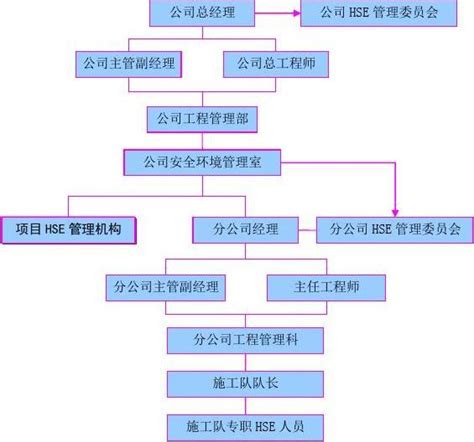 Hse管理体系及措施word文档免费下载文档大全