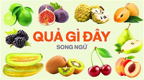 Quả Gì Đây 3, Dạy Bé Đọc Tên Trái Cây Tiếng Anh, Bé Khám Phá Thông Minh ...