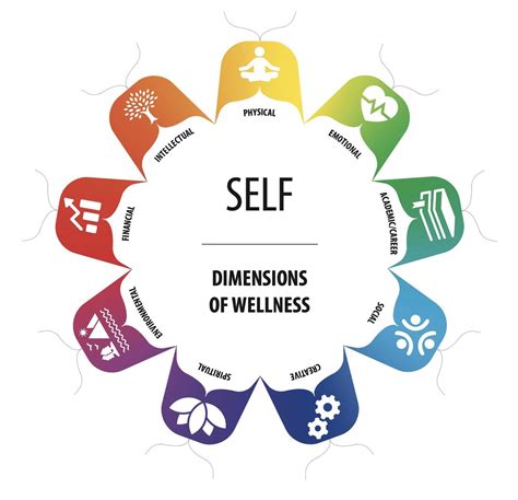 Healthy Practices And The Wellness Wheel First Year Seminar