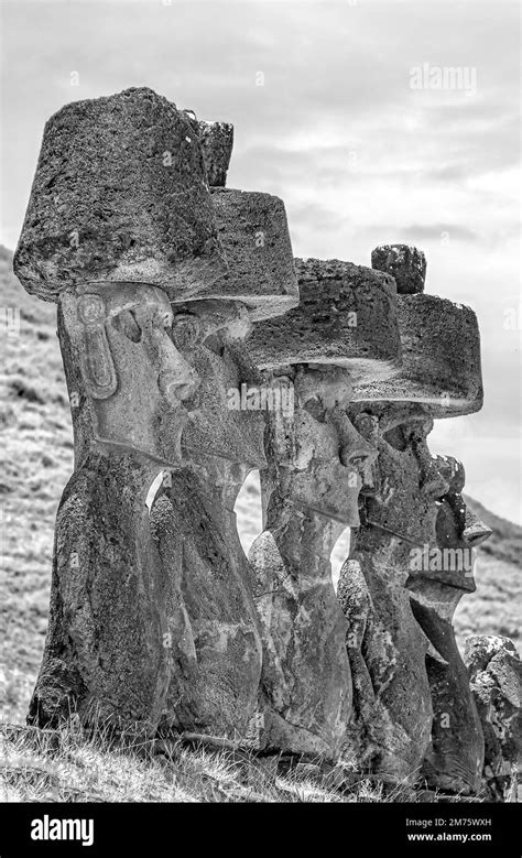 Row Of Moai Black And White Stock Photos And Images Alamy