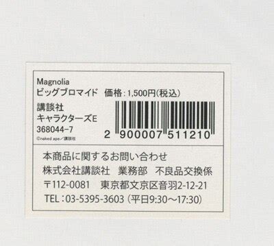 naked ape逢川里羅 中村友美直筆サイン入りカラー複製イラストMagnolia