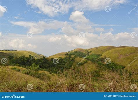 Shola Forests In Wagamon Kerala Stock Image Image Of Beautyofkerala Kerala 165099137