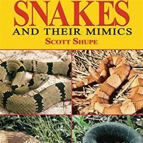 Stream Episode Pdf Read U S Guide To Venomous Snakes And Their Mimics