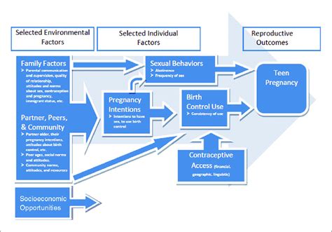 A Proposed Pathway Of The Role Of Risk And Protective Factors In