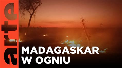 Madagaskar Kraina Ognia Arte Tv Dokumenty Ca Y Film Lektor Pl