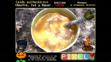 Caldo Sulfocálcico Paso A Paso Usos Dosis Y Precauciones Hd Youtube