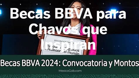 Becas BBVA 2024 Convocatoria Y Montos Mexico Gob