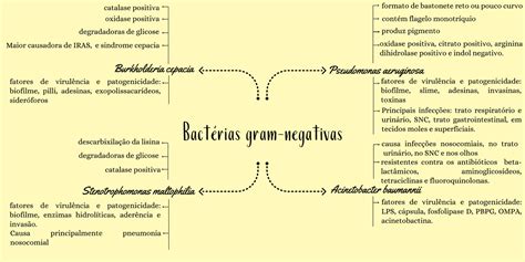 Mapa Mental Principais BactÉrias Gram Negativas Esquemas Microbiologia Docsity