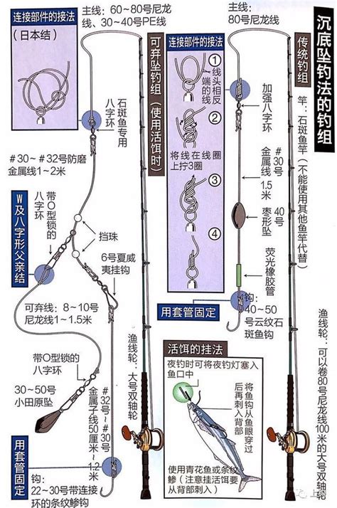 上鉤課堂：石斑魚的這幾種釣法，你可能還不知道 每日頭條