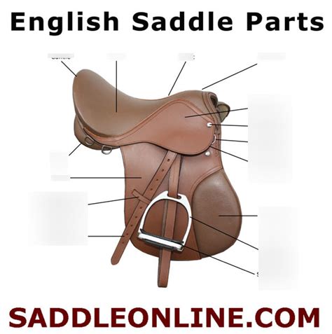 Saddle parts Diagram | Quizlet