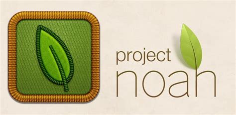 Video Of The Week Project Noah Shark Research And Conservation Program